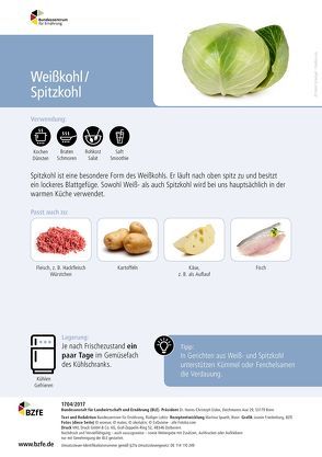 Lebensmittel-Infoblatt: Weißkohl/Spitzkohl von Lobitz,  Rüdiger, Spaeth,  Martina