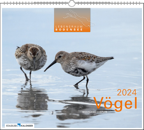 Lebensraum Bodensee – Vögel 2024 von Caspers,  Wolfgang