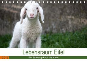 Lebensraum Eifel (Tischkalender 2018 DIN A5 quer) von Knoden,  Elke