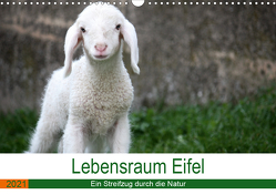 Lebensraum Eifel (Wandkalender 2021 DIN A3 quer) von Knoden,  Elke