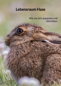 Lebensraum Hase von Meyer,  Olli