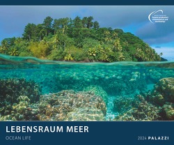 Lebensraum Meer 2024 – Bild-Kalender – Poster-Kalender – 60×50