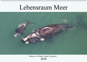 Lebensraum Meer – Heimat von Walen, Haien, Pinguinen… (Wandkalender 2018 DIN A2 quer) von und Yvonne Herzog,  Michael