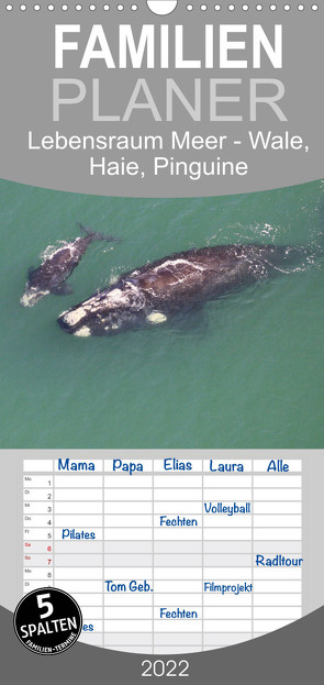 Familienplaner Lebensraum Meer – Wale, Haie, Pinguine (Wandkalender 2022 , 21 cm x 45 cm, hoch) von und Yvonne Herzog,  Michael