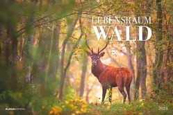 Lebensraum Wald 2024 – Bildkalender 49,5×33 cm – Tiere und Pflanzen in unseren heimischen Wäldern – Wandkalender – Wandplaner – Tierkalender