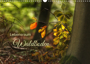 Lebensraum Waldboden (Wandkalender 2022 DIN A3 quer) von Wirges,  Christine