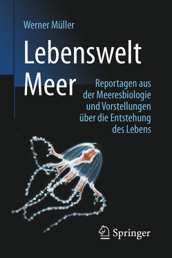Lebenswelt Meer von Mueller,  Werner