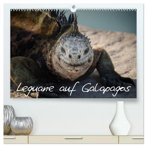 Leguane auf Galapagos (hochwertiger Premium Wandkalender 2024 DIN A2 quer), Kunstdruck in Hochglanz von Binder,  Ralph