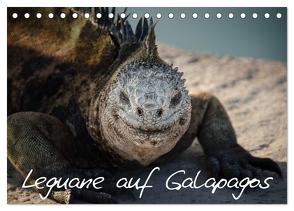 Leguane auf Galapagos (Tischkalender 2024 DIN A5 quer), CALVENDO Monatskalender von Binder,  Ralph