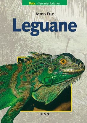 Leguane von Falk,  Astrid