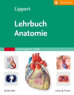 Lehrbuch Anatomie von Lippert,  Herbert