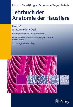 Lehrbuch der Anatomie der Haustiere Band V von Nickel,  Eberhard