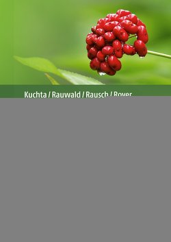 Lehrbuch der Koreanischen Medizin von Hans Rausch, Hans Wilhelm Rauwald, Kenny Kuchta, Raimund Royer