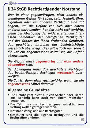 Lehrtafel § 34 StGB rechtfertigender Notstand von Hohl,  Helmut