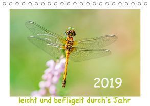 leicht und beflügelt durch´s Jahr 2019 (Tischkalender 2019 DIN A5 quer) von Beyer (Moqui),  Daniela