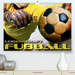 Leidenschaft Fußball (Premium, hochwertiger DIN A2 Wandkalender 2023, Kunstdruck in Hochglanz) von Bleicher,  Renate