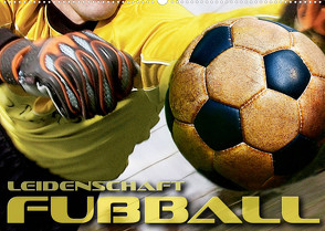 Leidenschaft Fußball (Wandkalender 2023 DIN A2 quer) von Bleicher,  Renate
