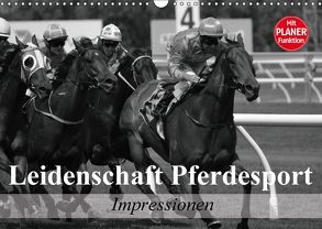 Leidenschaft Pferdesport – Impressionen (Wandkalender 2018 DIN A3 quer) von Stanzer,  Elisabeth