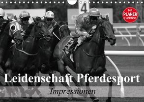 Leidenschaft Pferdesport – Impressionen (Wandkalender 2018 DIN A4 quer) von Stanzer,  Elisabeth
