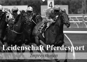 Leidenschaft Pferdesport – Impressionen (Wandkalender 2019 DIN A2 quer) von Stanzer,  Elisabeth