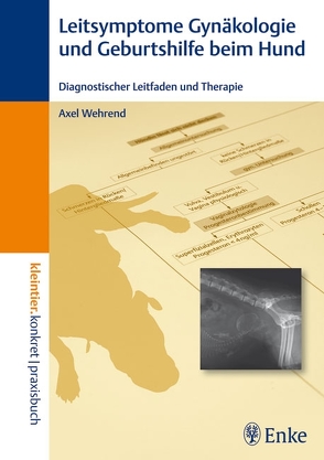 Leitsymptome in der Gynäkologie und Geburtshilfe beim Hund von Wehrend,  Axel