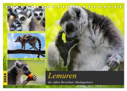 Lemuren die süßen Bewohner Madagaskars (Tischkalender 2024 DIN A5 quer), CALVENDO Monatskalender von Riedel,  Tanja