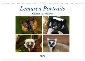Lemuren Portraits (Wandkalender 2024 DIN A4 quer), CALVENDO Monatskalender von Markolf,  Matthias