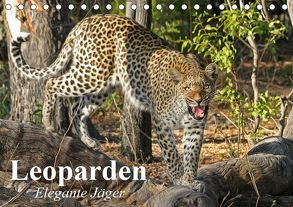 Leoparden. Elegante Jäger (Tischkalender 2019 DIN A5 quer) von Stanzer,  Elisabeth