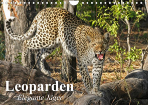 Leoparden. Elegante Jäger (Wandkalender 2022 DIN A4 quer) von Stanzer,  Elisabeth