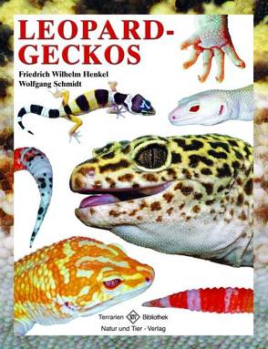 Leopardgeckos von Henkel,  Friedrich Wilhelm, Schmidt,  Wolfgang