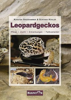 Leopardgeckos von Grießhammer,  Karsten, Köhler,  Gunther