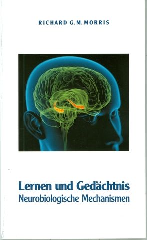 Lernen und Gedächtnis von Borst,  Alexander, Morris,  Richard G. M.