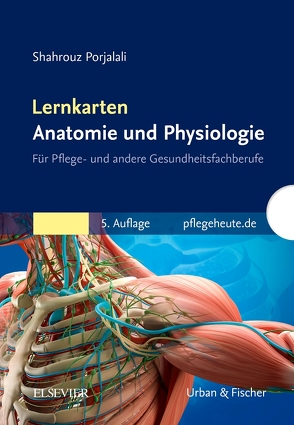 Lernkarten Anatomie und Physiologie von Porjalali,  Shahrouz