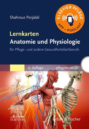 Lernkarten Anatomie und Physiologie von Porjalali,  Shahrouz