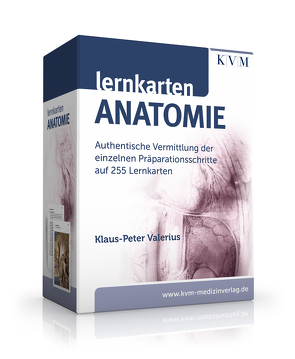 Lernkarten Anatomie von Valerius,  Klaus-Peter
