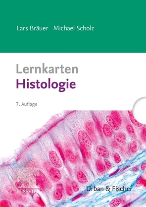 Lernkarten Histologie von Bräuer,  Lars, Scholz,  Michael