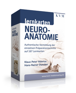 Lernkarten Neuroanatomie von Duncker,  Hans-Rainer, Valerius,  Klaus-Peter