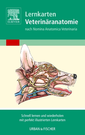 Lernkarten Veterinäranatomie/Veterinary Anatomy Flash Cards von Singh,  Baljit