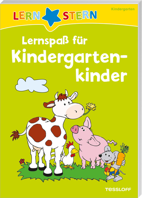 LERNSTERN Lernspaß für Kindergartenkinder von Flad,  Antje
