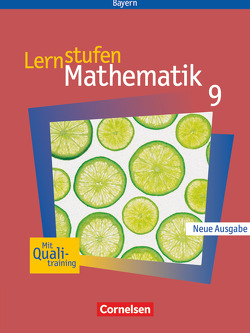 Lernstufen Mathematik – Bayern 2005 – 9. Jahrgangsstufe von Braunmiller,  Walter, Fischer,  Reinhard, Friedl,  Max, Leppig,  Manfred, Mueller,  Thomas, Olschewski,  Tanja, Paczulla,  Manfred, Thöne,  Karl-Heinz, Weber,  Heidrun