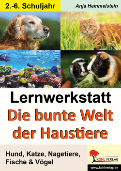 Lernwerkstatt Die bunte Welt der Haustiere von Hammelstein,  Anja