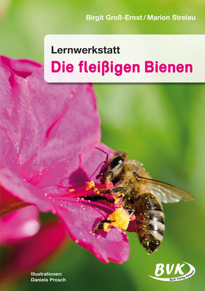 Lernwerkstatt Die fleißigen Bienen von Groß-Ernst,  Birgit, Prosch,  Daniela, Strelau,  Marion