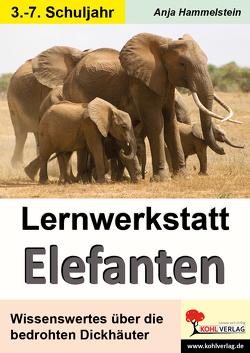 Lernwerkstatt Elefanten von Hammelstein,  Anja