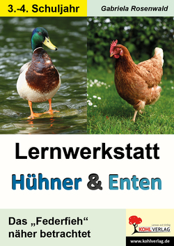 Lernwerkstatt Hühner & Enten / Grundschule von Rosenwald,  Gabriela