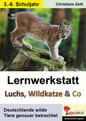 Lernwerkstatt Luchs, Wildkatze & Co von Zettl,  Christiane