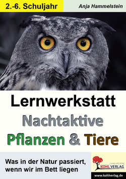 Lernwerkstatt Nachtaktive Pflanzen und Tiere von Hammelstein,  Anja