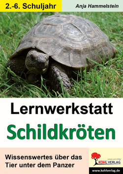 Lernwerkstatt Schildkröten von Hammelstein,  Anja