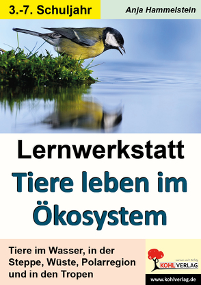 Lernwerkstatt Tiere leben im Ökosystem von Hammelstein,  Anja