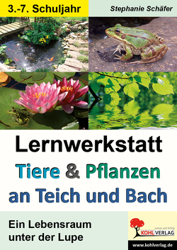 Lernwerkstatt Tiere & Pflanzen an Teich und Bach von Schäfer,  Stephanie