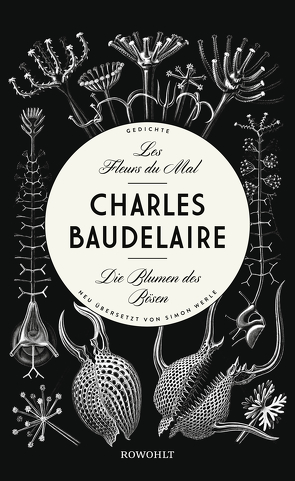 Les Fleurs du Mal – Die Blumen des Bösen von Baudelaire,  Charles, Werle,  Simon